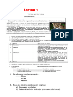 Trabajos Prácticos para 4to Año 2023 Intensificación