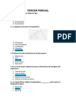 Bioquímica Tercer Parcial