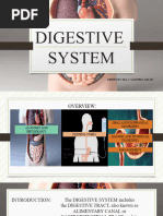 Digestive System