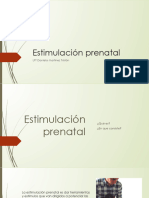 Estimulación Prenatal