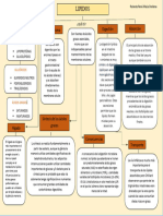 Mapa Conceptual de Metabolismo de Los Lípidos