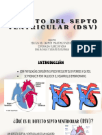 Defecto Del Septo Ventricular (DSV) en Perros y Gatos