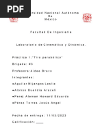 PDF Documento