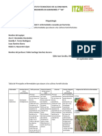 Enfermedades Bacterianas de Tomate