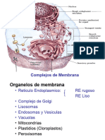 2-04 Organelos de Membrana