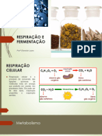 Respiração e Fermentação