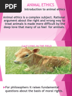 Animal Ethics PPT Report