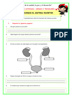 Ficha-Mart-Cyt-Conocemos El Sistema Excretor