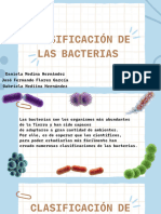 Clasificación de Las Bacterias Segun Su Morfolia y Sus Flagelos