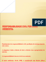 7.responsabilidade Civil Por Dano Ambiental