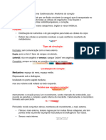 1 Sistema Cardiovascular ANATOMIA