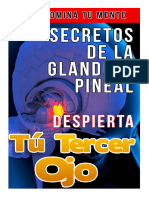 Secretos de La Glandula Pineal