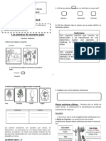 Guia 15 Ciencias 3ºb