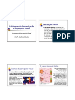 Percepcao Visual SLIDES