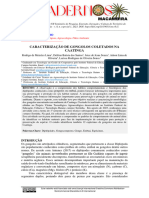 VI SemináriodoSisal - Modelo Resumo Expandido Falta Correção