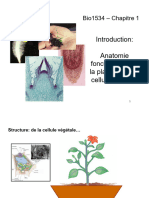 Chapitre 1 Anatomie Fonctionnelle de La Plante