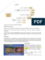 Enfermedades de Transmisión Sexual: Sífilis Treponema Palladium