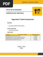 Ef - Seguridas y Salud Ocupacional - Grupo 5