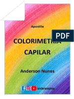 Apostila Colorimetria Capilar - An