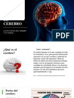 El Cerebro