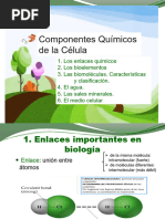 Tema 1 Bio 2 Bac Composicion Celular