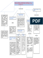 Mapa Cognitivo de Caja EVOLUCIÓN DEL SISTEMA NERVIOSO CENTRAL Y LA CONDUCTA.