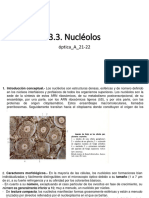 3.3. El Nucleolo - Op - A - 21-22