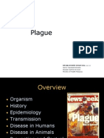 Plague Presentation Final