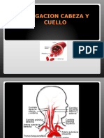 IRRIGACION Cuello