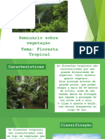 Seminário Sobre Vegetacão - Floresta Tropical