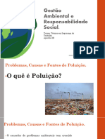 Aula III Gestão Ambiental e Responsabilidade Social NV