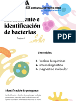 Aislamiento e Identificación de Bacterias