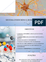 Sistema Endócrino - Hipotálamo e Hipófise