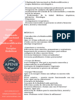 TemarioDiplomadoInternacional PDF