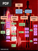 Mapa Conceptual de Shock