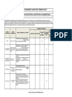 Formato Controles Jerarquicos