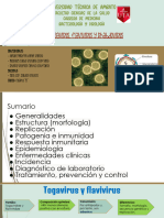 Togavirus, Flavivirus y Rhabdovirus