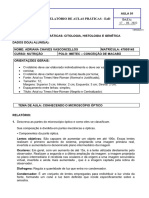 Relatório de Aulas Práticas Ead - Aula 01 Bases Da Biologia Celular, Molecular e Tecidual