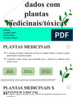 Seminário Fitoterapia - Cuidados Com Plantas Medicinais e Tóxicas