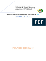 Plan de Trabajo: Región Ica - 2023