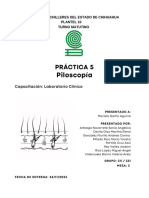 Practica 5 Final