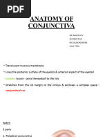 Anatomy of Conjunctiva