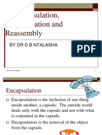 IP Encapsulation, Fragmentation, and Reassembly REVISED