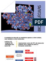 Biomoléculas 2019