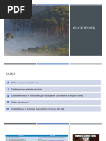 c1.1 Enzymes