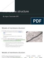 Membrane Structure