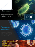 Organismos Unicelulares y Pluricelulares