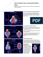 PRELIMS Elearning