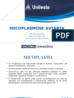 Mycoplasmose Aviária - Bruna