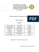 Reporte de Lab Embriogénesis Temprana